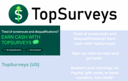 TopSurveys (US)