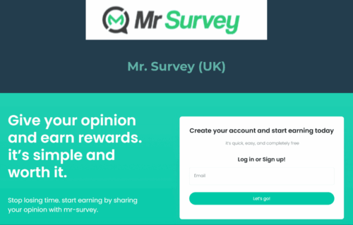Mr. Survey (UK)