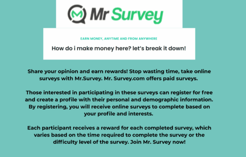 Mr. Survey (US)